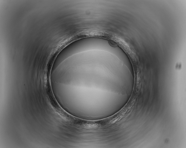 X0000099230202200805081605