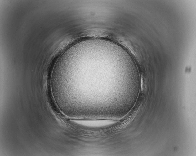 X0000099230205200805081605