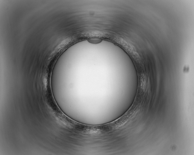 X0000099230206200805081605