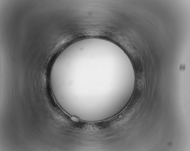 X0000099230207200805081605