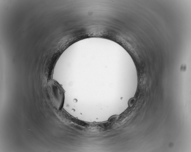 X0000099230209200805081605