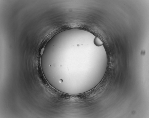 X0000099230210200805081605