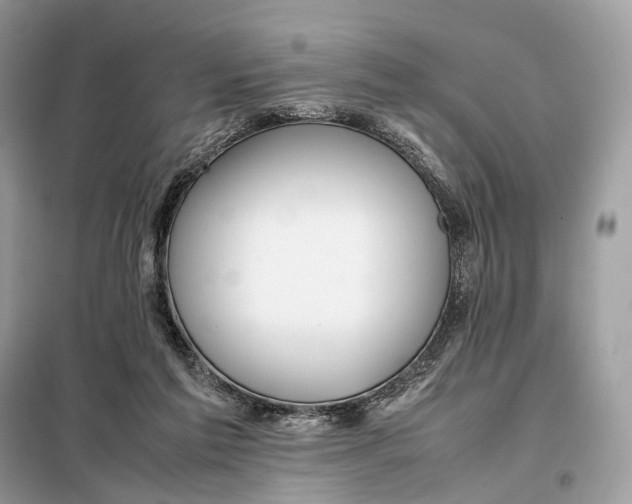 X0000099230213200805081605