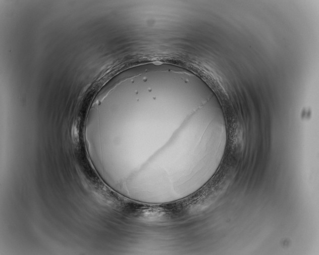 X0000099230214200805081605