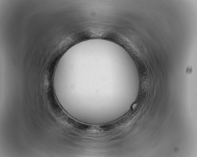 X0000099230215200805081605