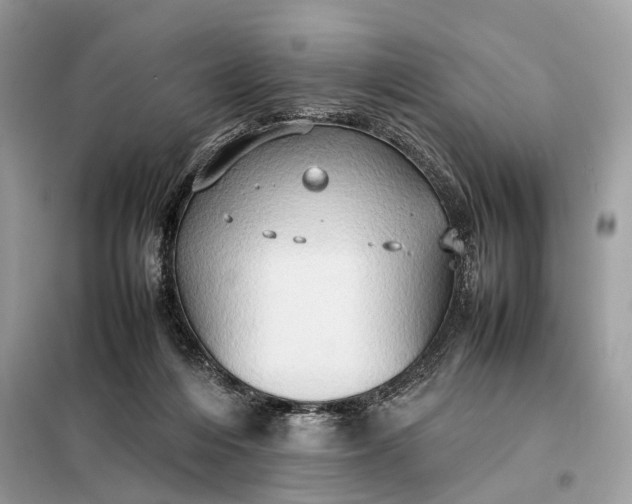 X0000099230216200805081605