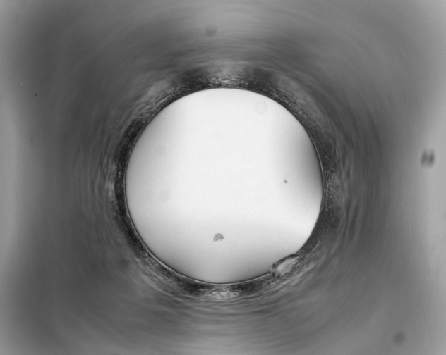 X0000099230217200805081605