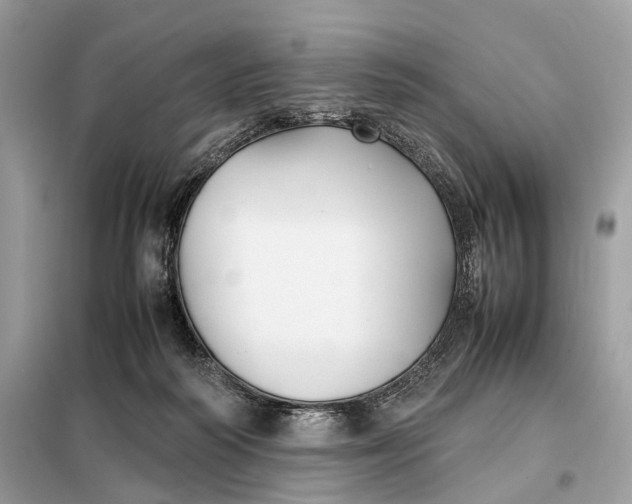 X0000099230218200805081605