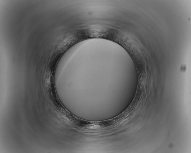 X0000099230219200805081605