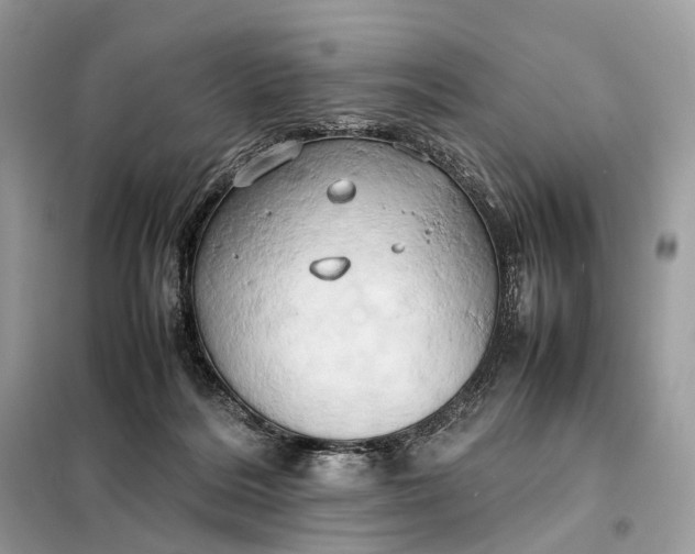 X0000099230220200805081605