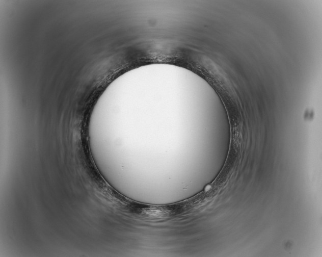 X0000099230221200805081605