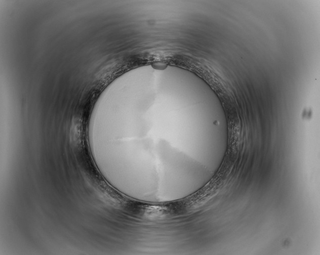 X0000099230222200805081605