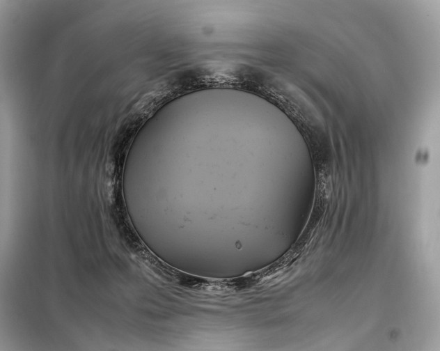 X0000099230223200805081605