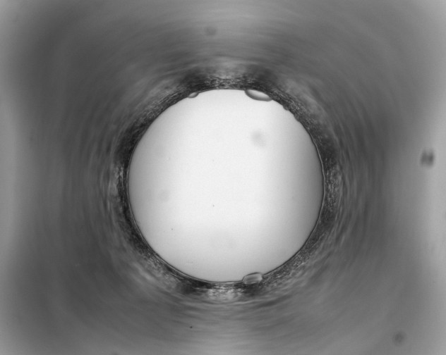 X0000099230225200805081605