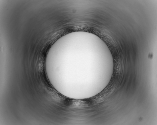 X0000099230226200805081605