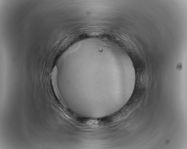 X0000099230227200805081605