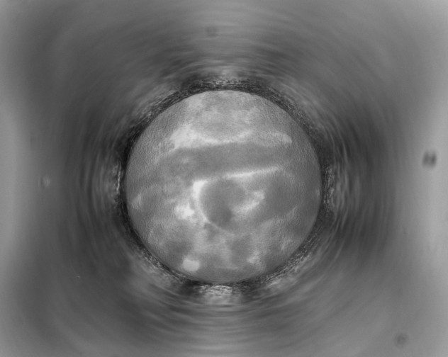 X0000099230230200805081605