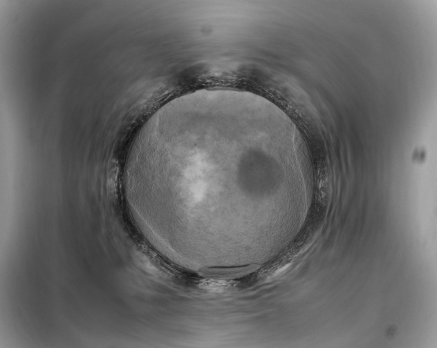 X0000099230231200805081605