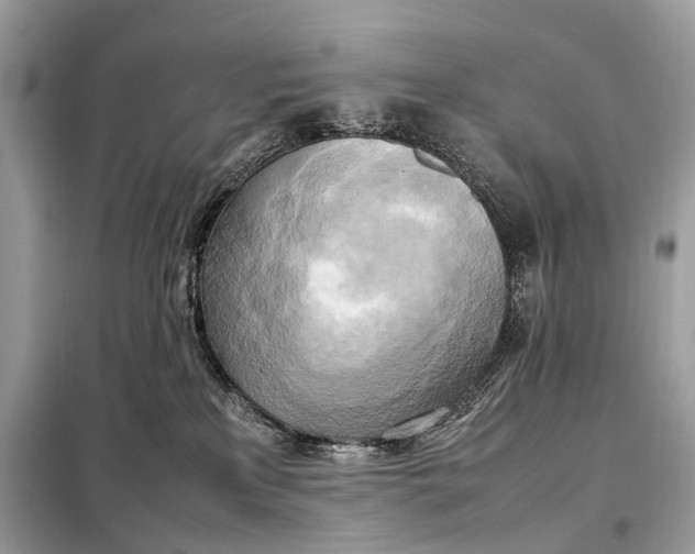 X0000099230233200805081605