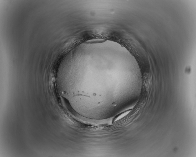 X0000099230235200805081605