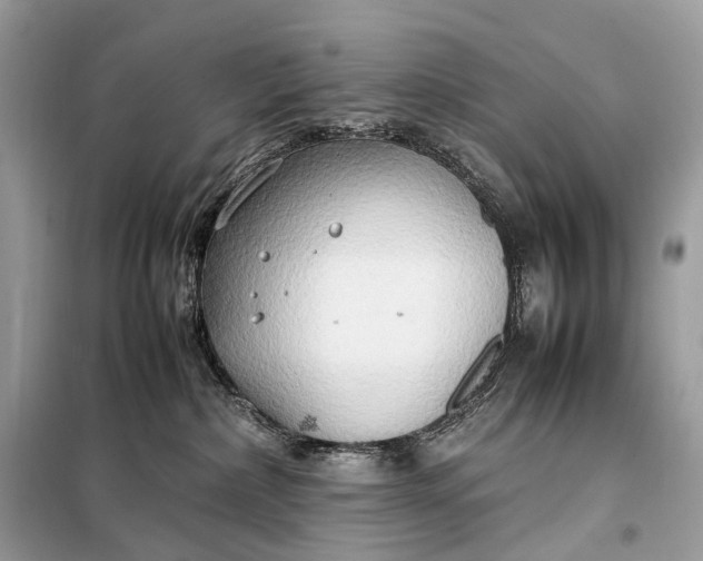 X0000099230236200805081605