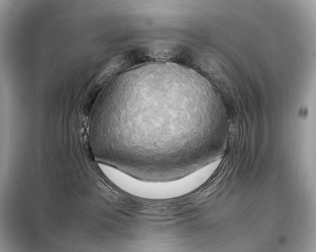 X0000099230237200805081605