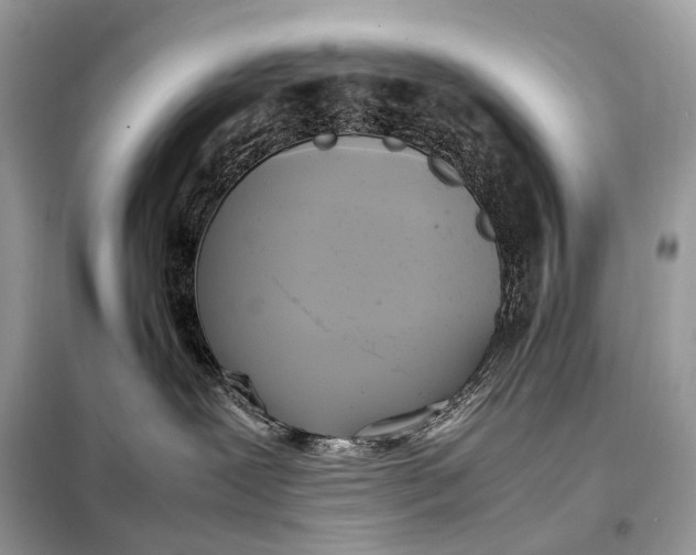 X0000099230239200805081605