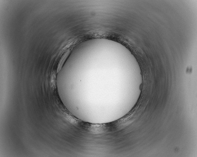 X0000099230240200805081605