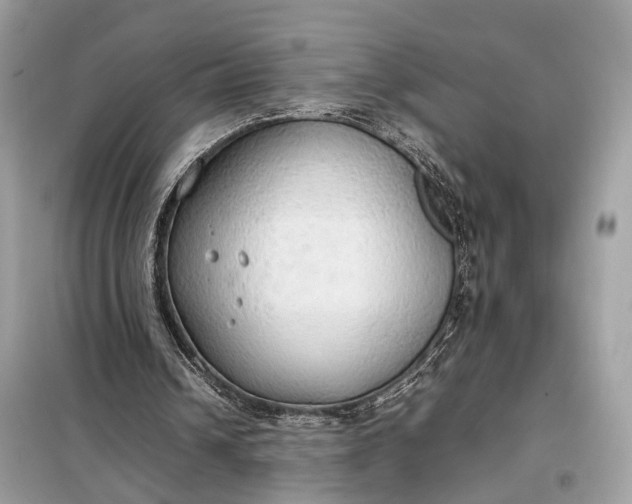 X0000099230242200805081604