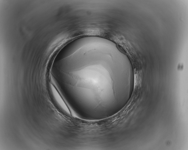 X0000099230243200805081604