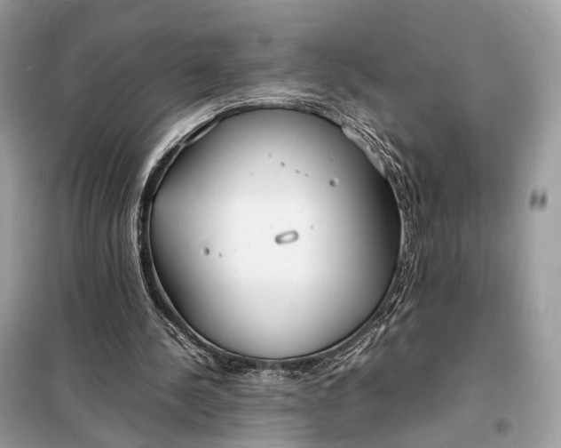 X0000099230244200805081604