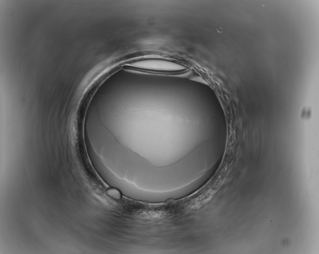 X0000099230247200805081604