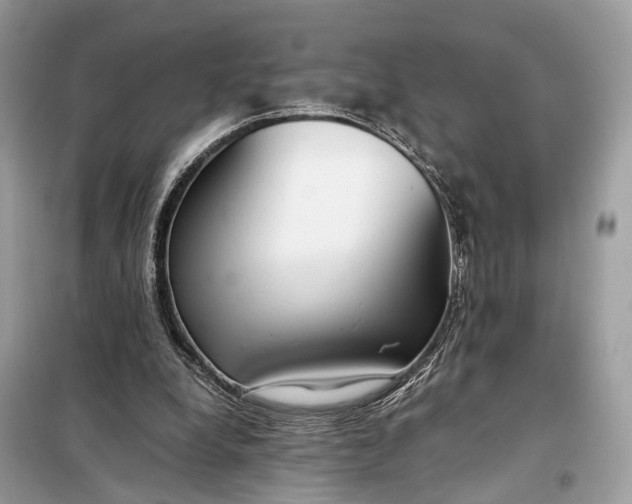 X0000099230248200805081604