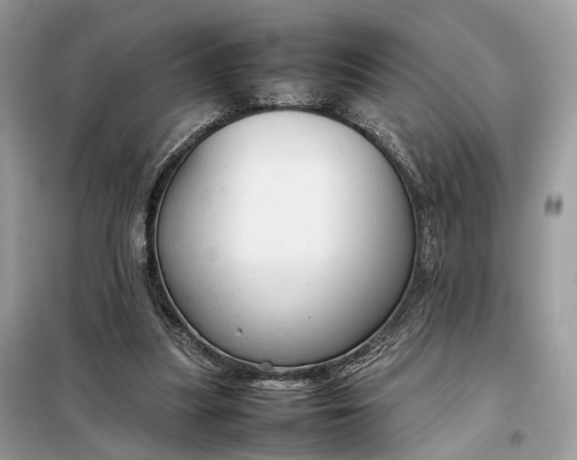 X0000099230251200805081604