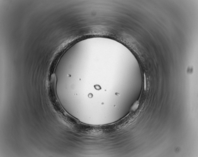 X0000099230252200805081604