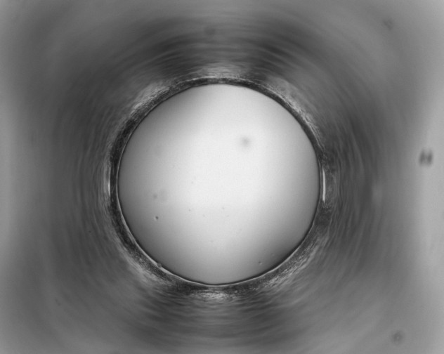 X0000099230253200805081604