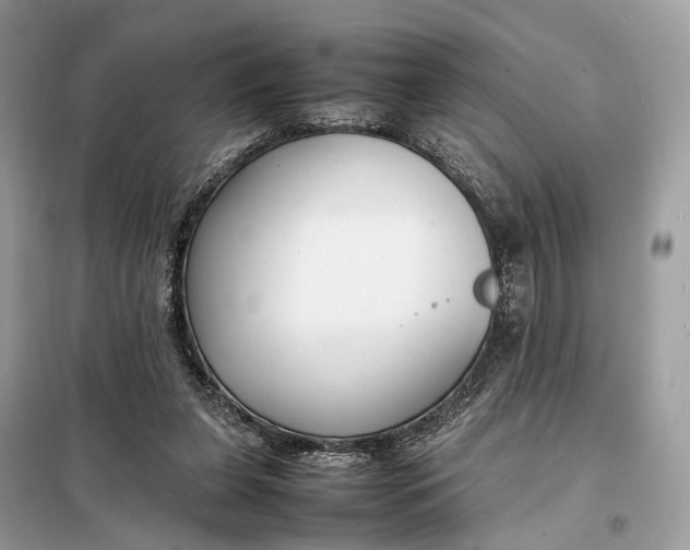 X0000099230255200805081604