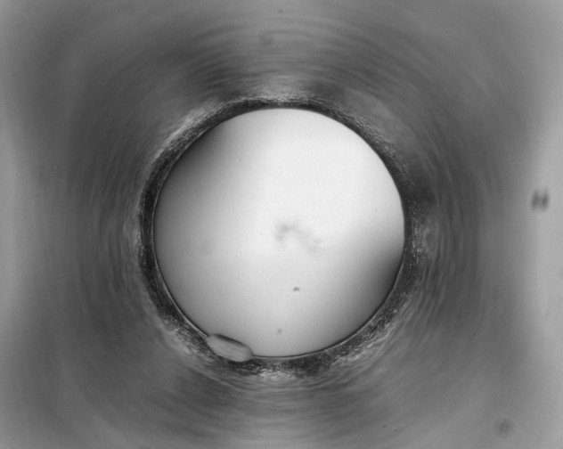 X0000099230256200805081604