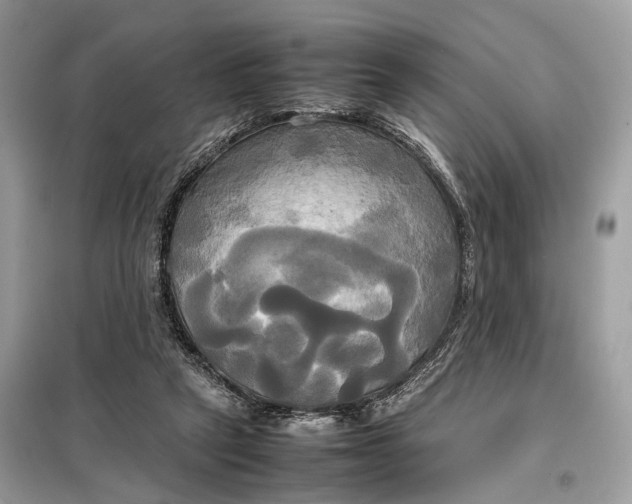 X0000099230257200805081604