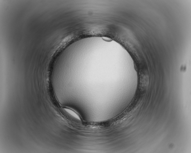 X0000099230260200805081604