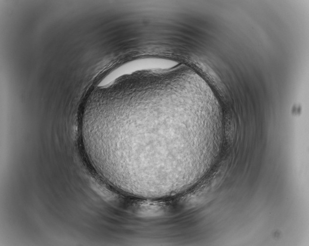 X0000099230261200805081604