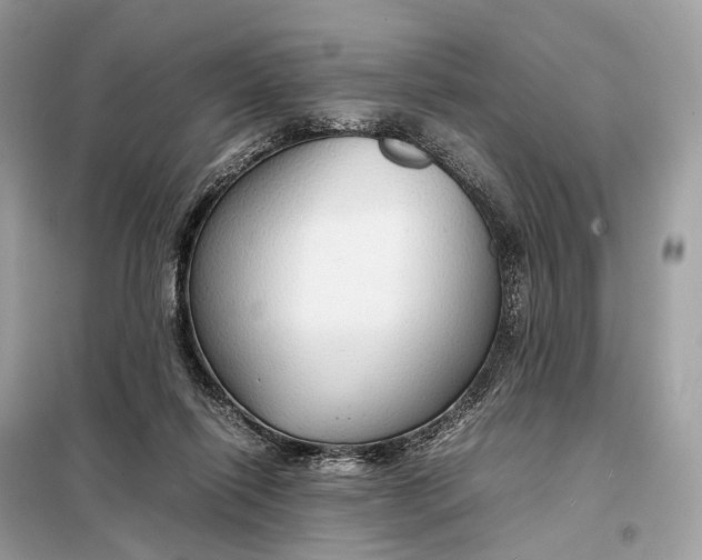 X0000099230262200805081604