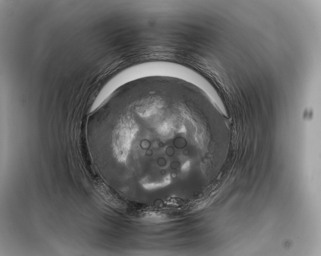 X0000099230263200805081604