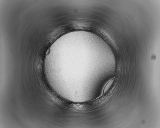 X0000099230265200805081604