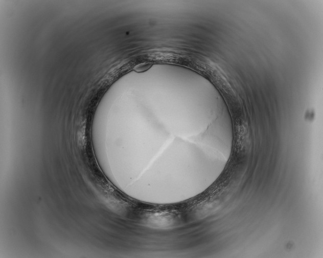 X0000099230267200805081604