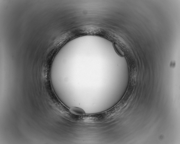 X0000099230268200805081604