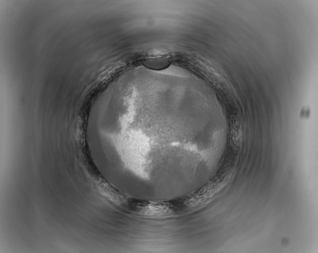 X0000099230270200805081604