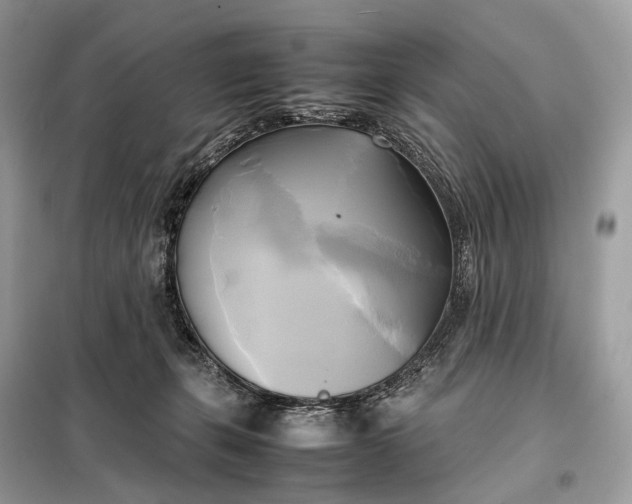 X0000099230271200805081604