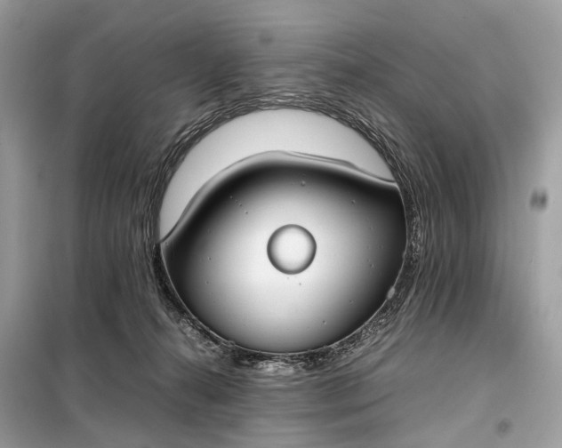 X0000099230272200805081604