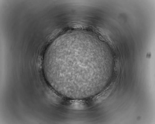 X0000099230273200805081604